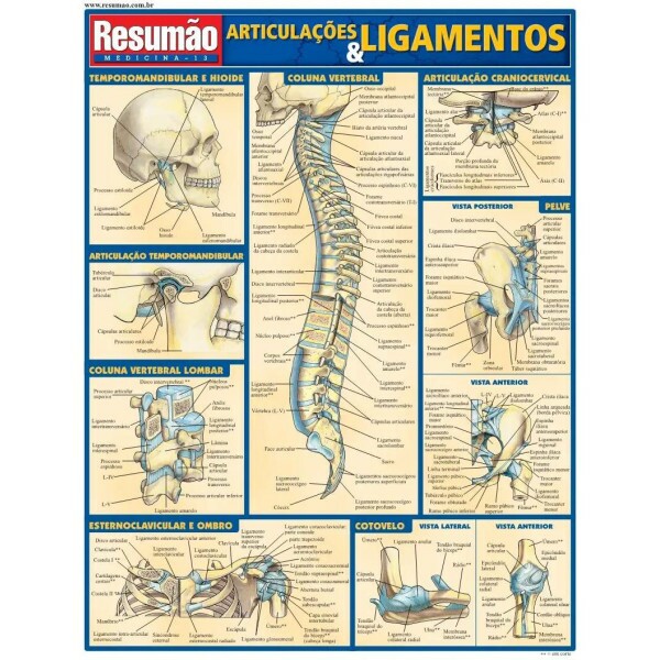 Resum�o Articula��es e Ligamentos
