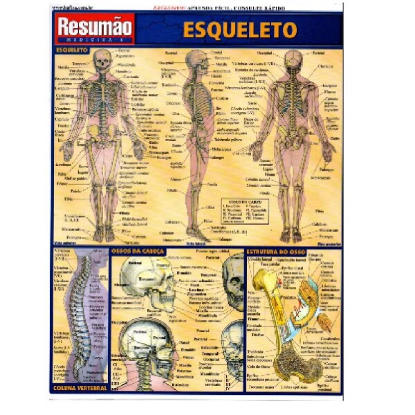 Resum�o Esqueleto