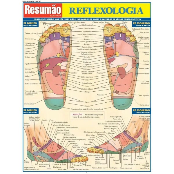 Resum�o Reflexologia