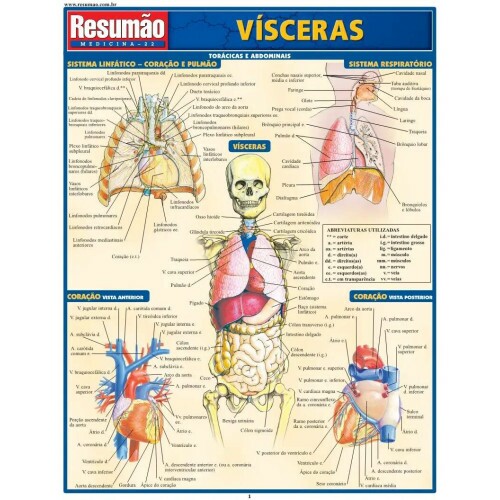 Resum�o V��sceras