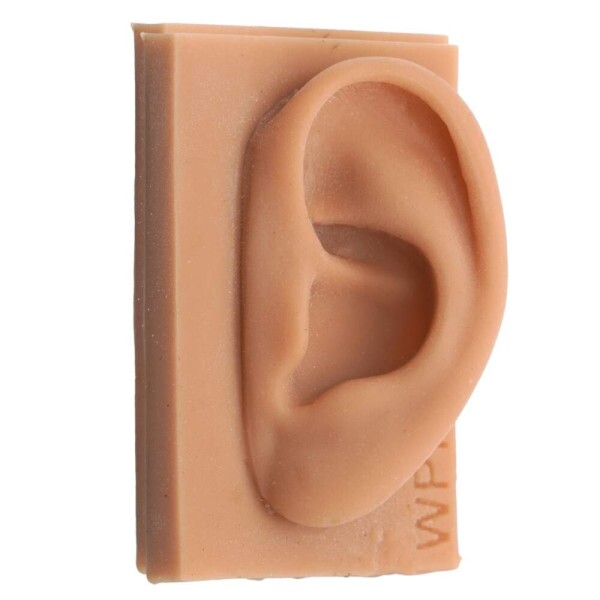 Modelo de orelha de silicone p/ estudo