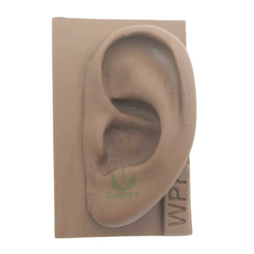 Modelo de orelha de silicone p/ estudo - Marrom