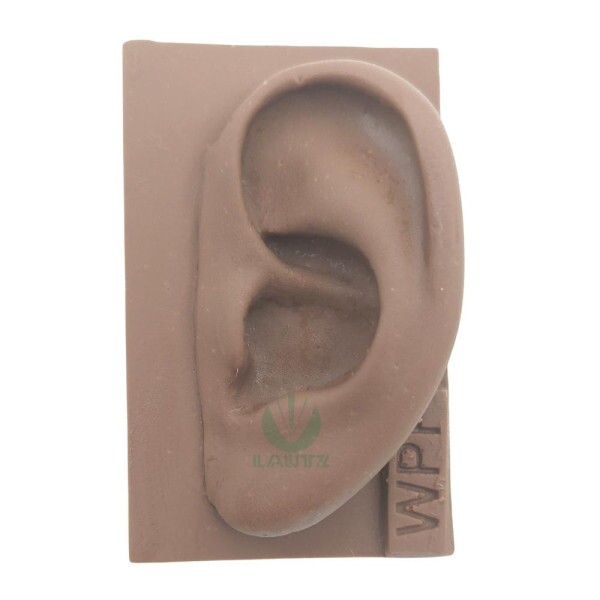 Modelo de orelha de silicone p/ estudo - Marrom