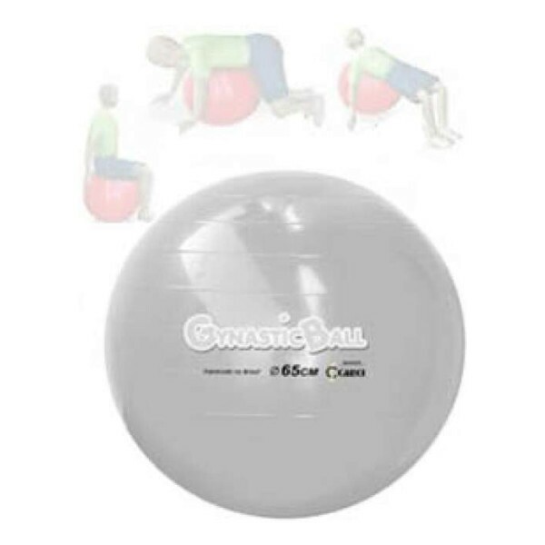 Gynastic Ball (65cm) Cinza