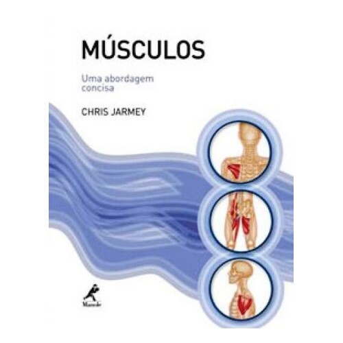 M�sculos - Uma abordagem concisa